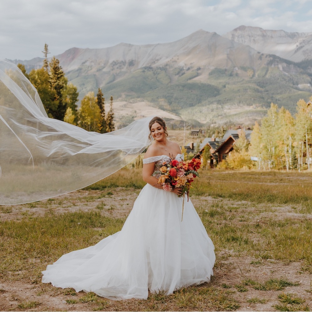 Cathedral Length Wedding Veil with Beading